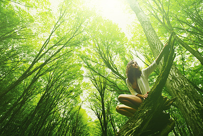 一个女人坐在山毛榉林中的原木上图片下载