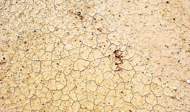 全球变暖-干泥浆表面图片下载