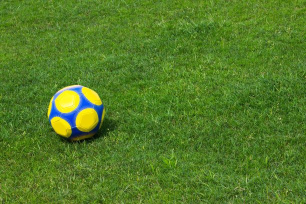 在草地上踢球图片下载