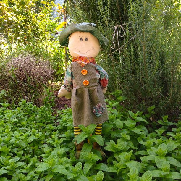 小稻草人图片下载