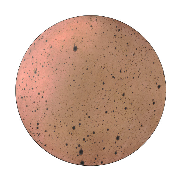 用作表面处理样品的铁盘图片下载