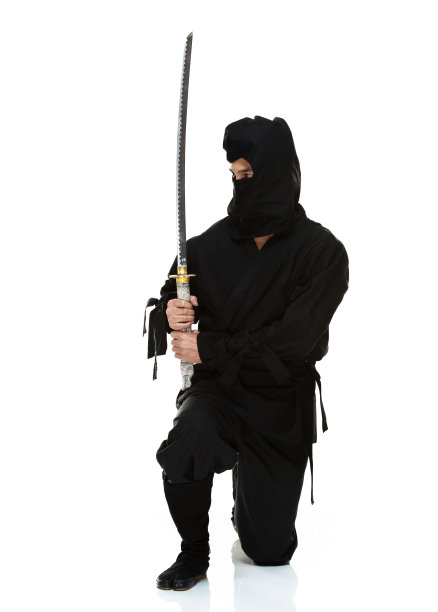 忍者在行动图片下载