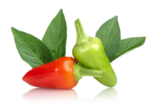 辣椒乐队图片下载