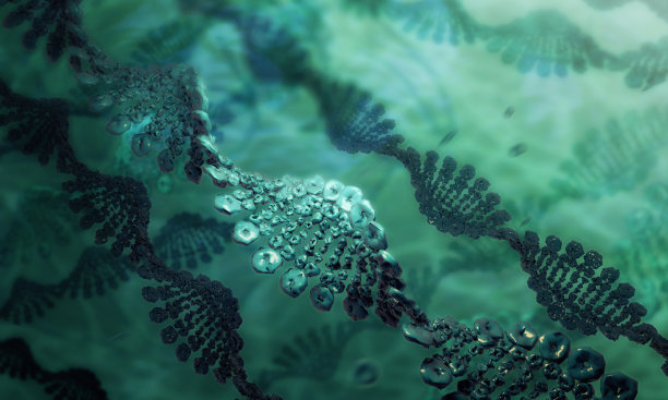 DNA分子图片下载