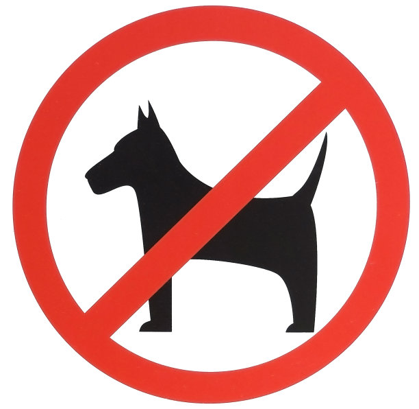 没有狗图片下载