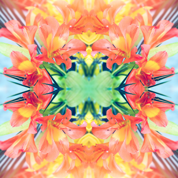 鲜橙黄花花瓣超现实对称万花筒状图片下载