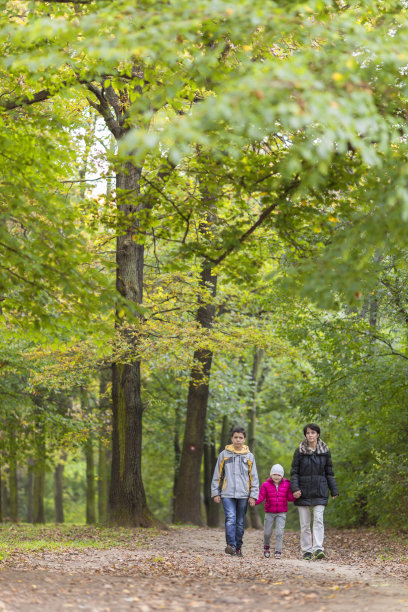 一家人在秋林小径上散步图片下载