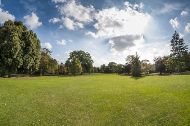 草地图片素材ID：146956858