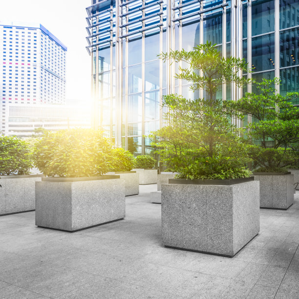 香港办公区域绿化图片下载