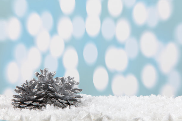 以散景灯为背景的圣诞装饰图片下载