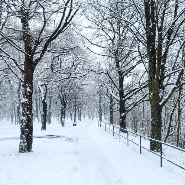 冬天班贝克图片下载