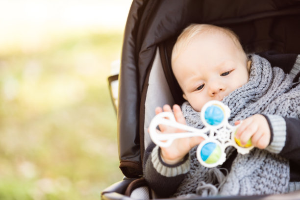 婴儿车里的婴儿拿着玩具图片下载