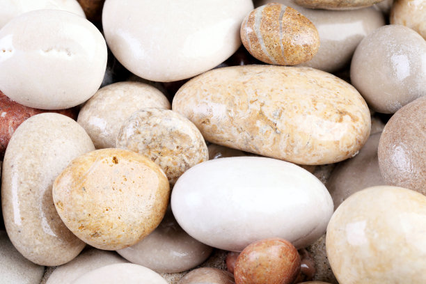 海卵石图片下载