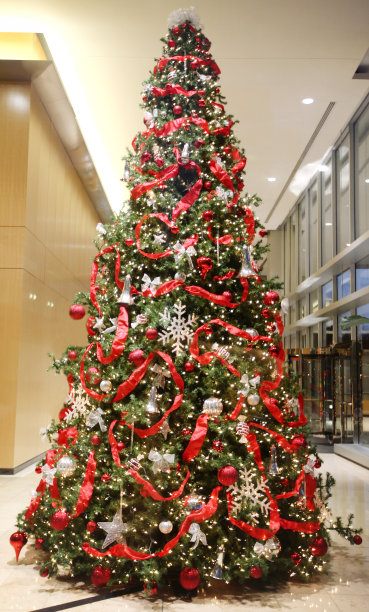 圣诞树图片下载