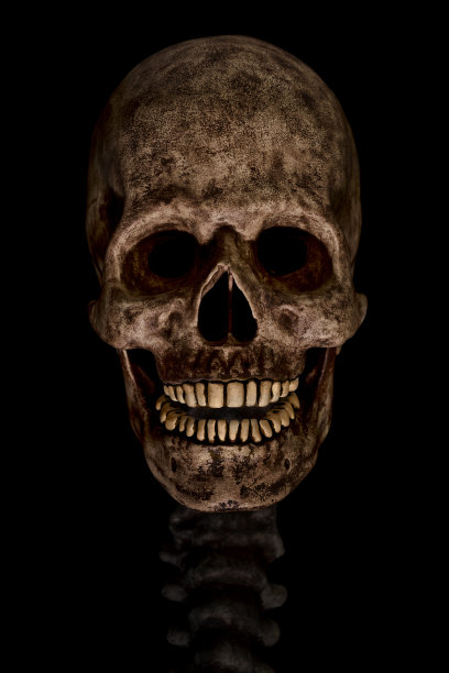 人类头骨的黑色背景图片下载
