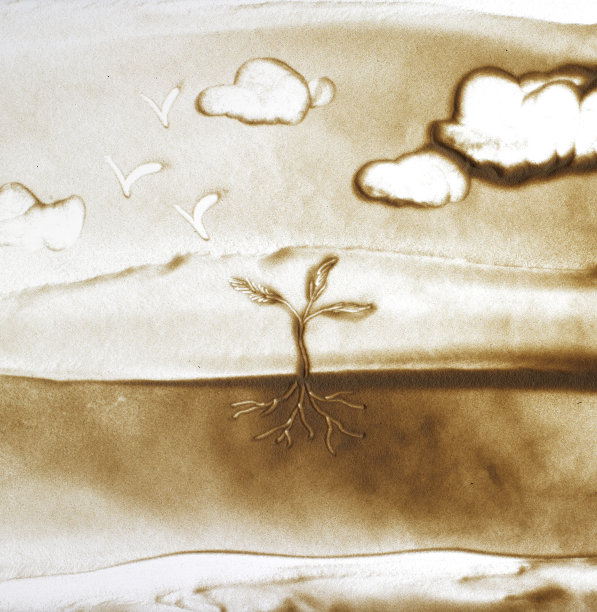 沙艺小树图片下载