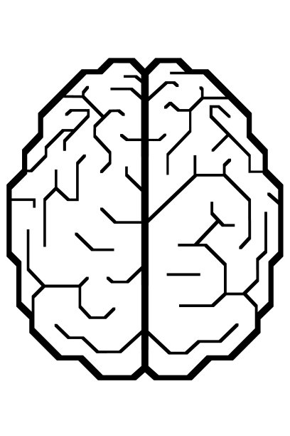 人类的大脑图片下载