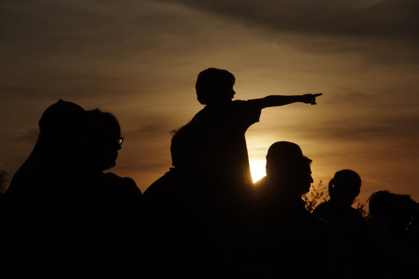 看这个节目图片下载