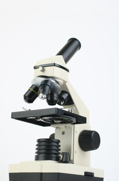 显微镜图片下载