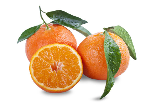 鲜桔，叶绿，分离图片下载