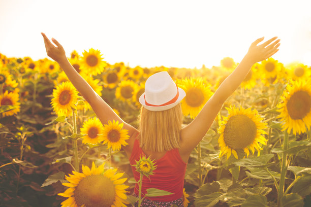 向日葵地里的美女图片下载