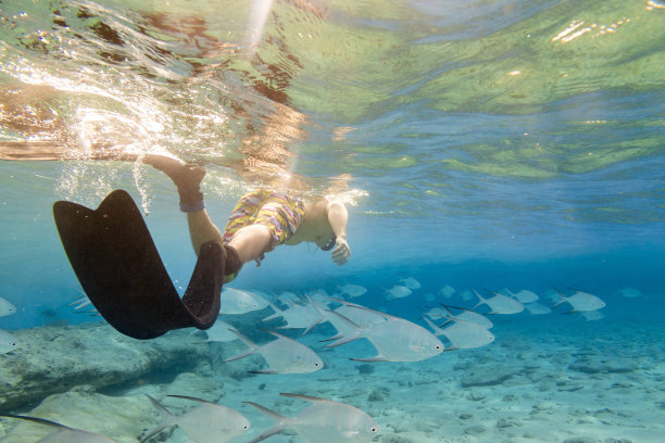 浮潜与鱼图片下载