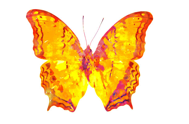 蝴蝶水彩1图片下载