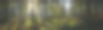 风景照片素材ID：147055360
