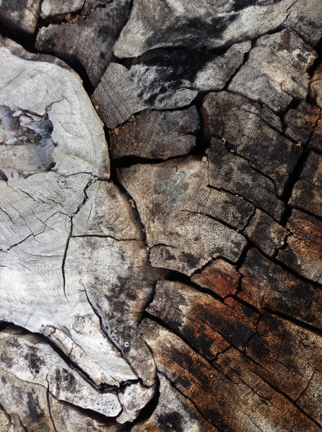 老柴的背景图片下载