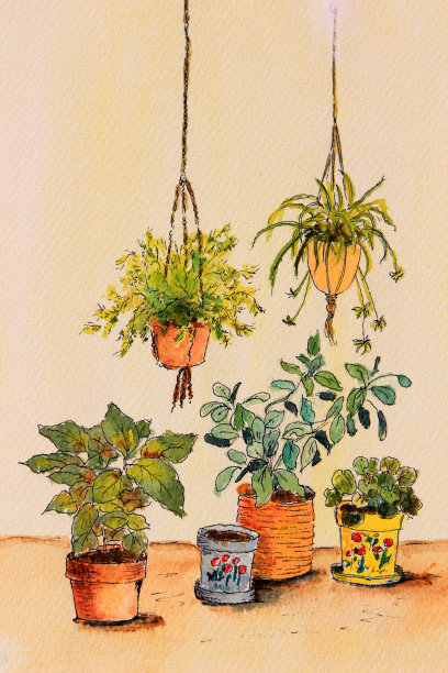 原创艺术水彩画室内植物图片下载