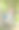 两个年轻女孩在夏天爬上一棵大树图片下载