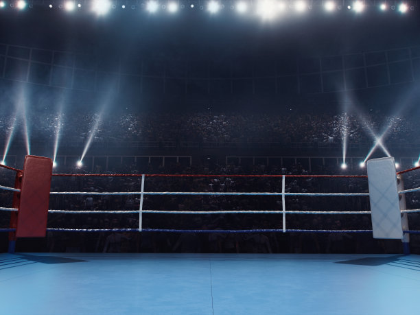 拳击:空的职业拳台和人群图片下载