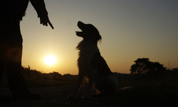 友谊和纪律图片下载
