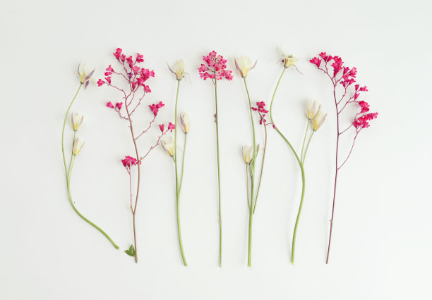 静物图片素材ID：147104986