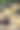 中国传统小吃图片下载