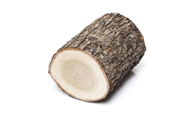 橡树桩图片下载