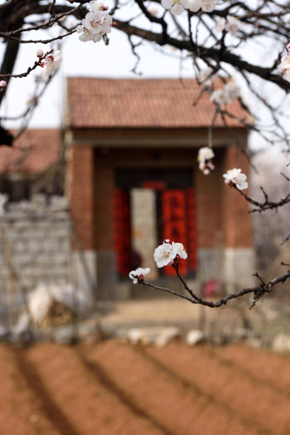 中国春天的乡村风光素材图片