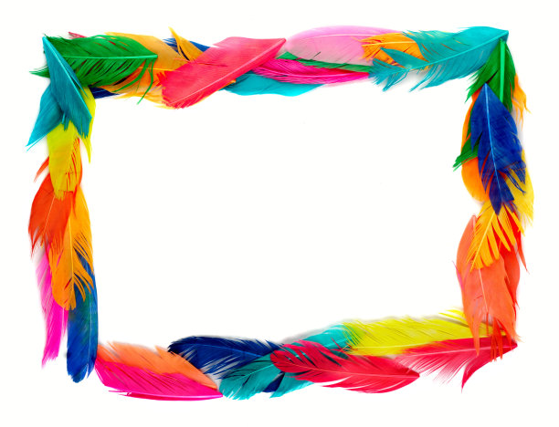 羽毛框架图片下载