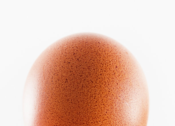 一个有斑点的棕色鸡蛋放在蛋清上图片下载