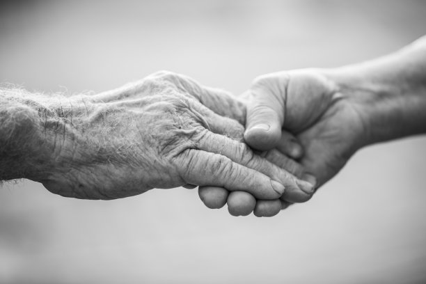 高级的爱图片下载