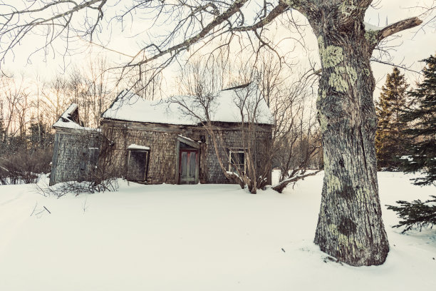 冬天的重量图片下载