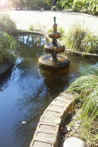 喷泉和树木在花园里图片下载