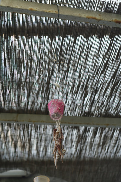 夏天的蜡烛图片下载