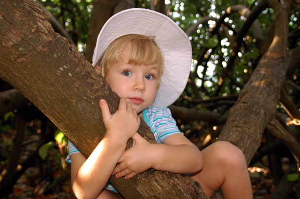 小女孩被高高地困在树上图片下载