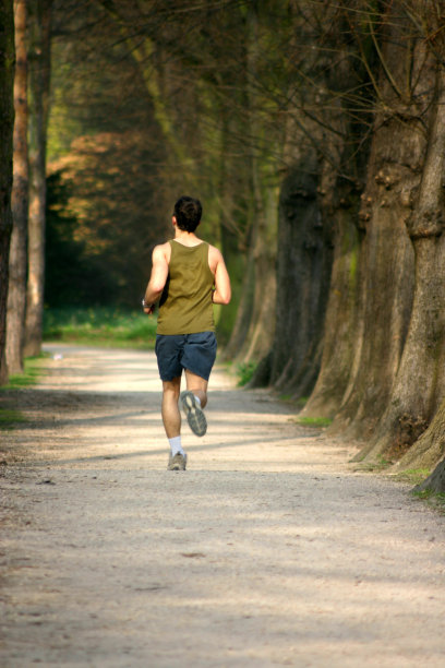 沿着林荫道慢跑图片下载