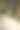沿着林荫道慢跑图片下载