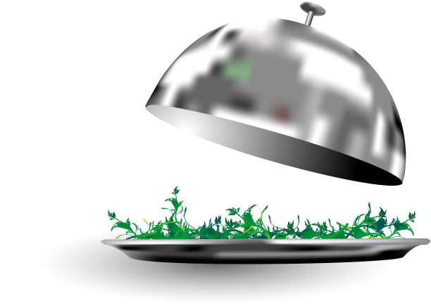 带圆顶的银托盘图片下载