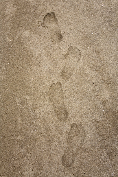 沙地足迹XL图片下载