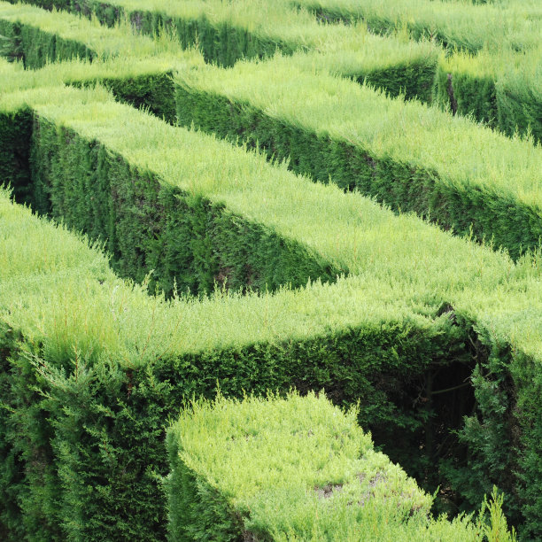 拉比林斯图片下载