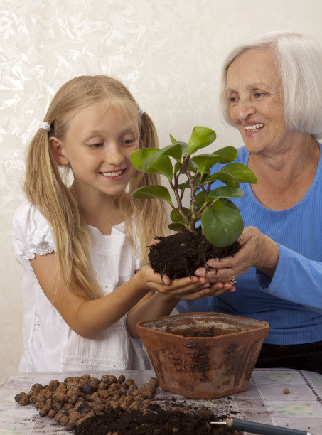 快乐的奶奶和孙女在花盆里种花。图片下载
